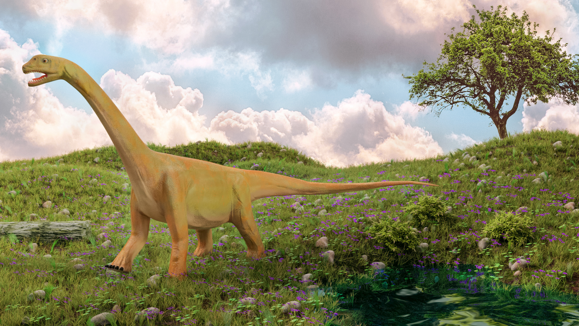 Camarasaurus preview image 1